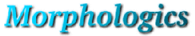 Morphologics Logo